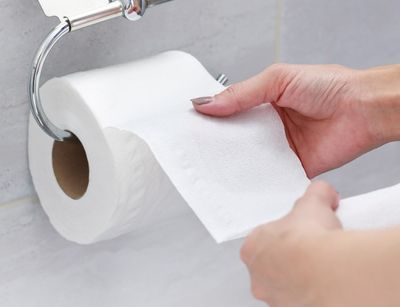 toilet